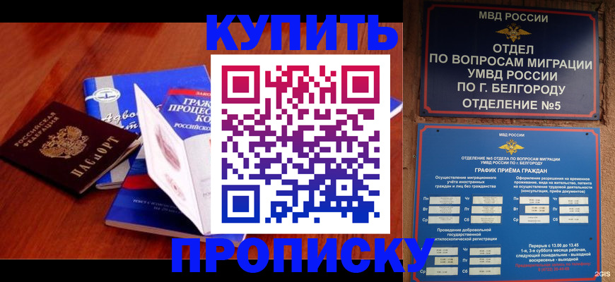 прописка гарантия в Архангельске